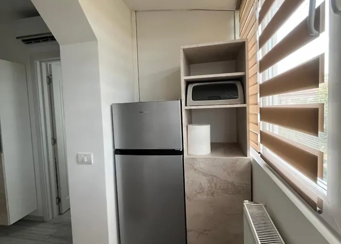 Kali Near Center ティミショアラ